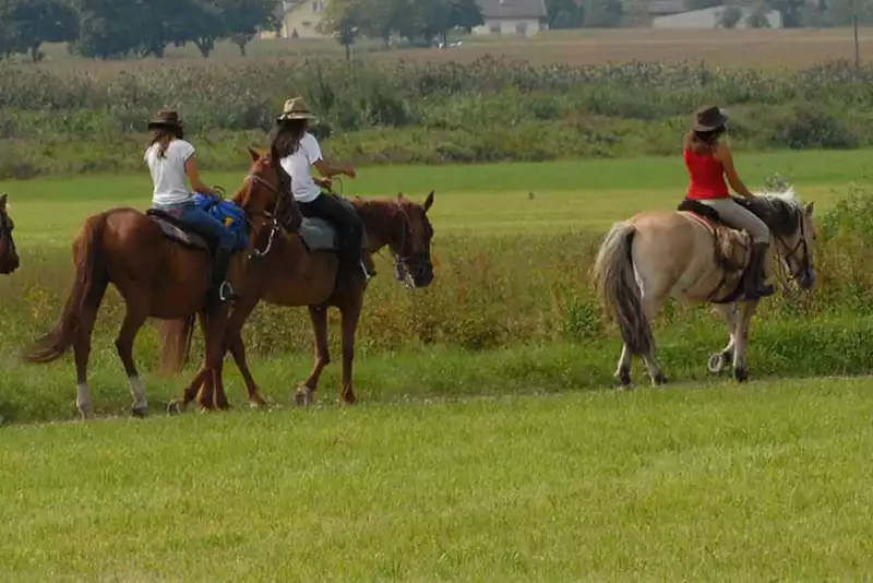 balade à cheval dans le Jura